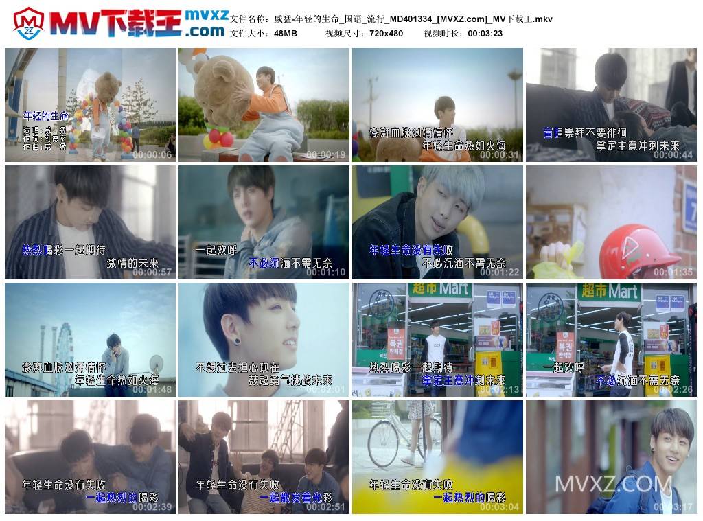威猛-年轻的生命_国语_流行_MD401334